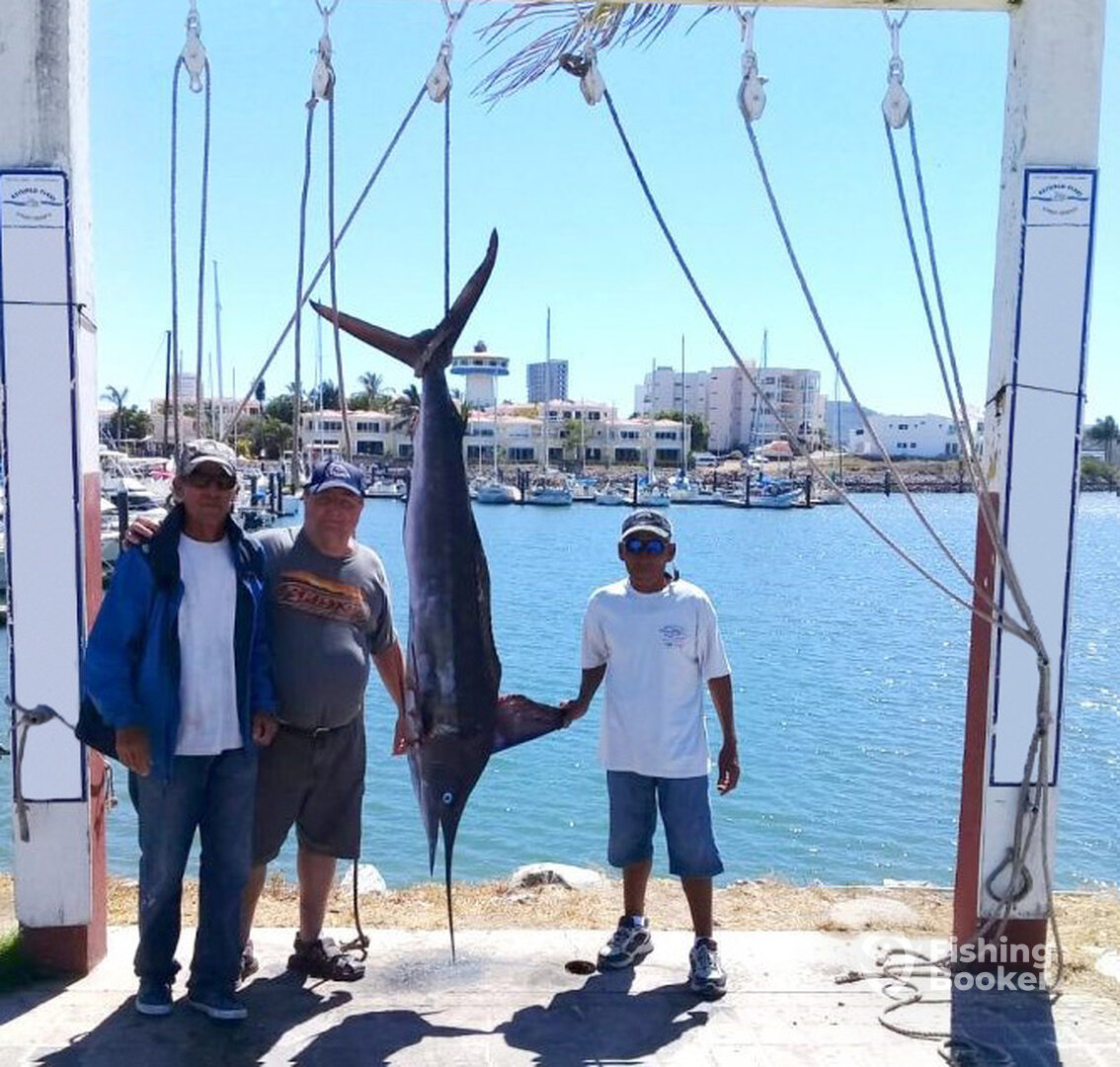 Mazatlán Report Photo 0