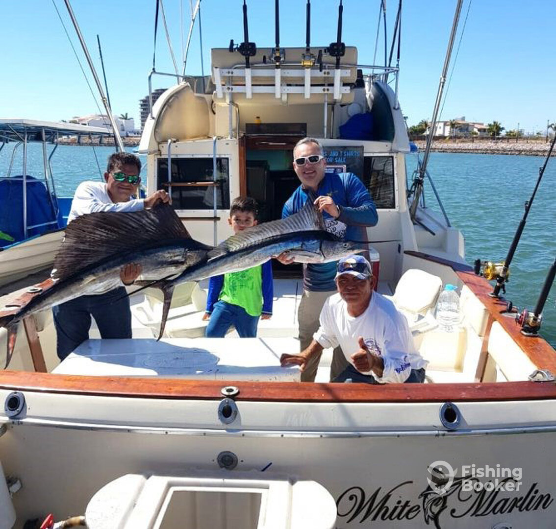 Mazatlán Report Photo 0