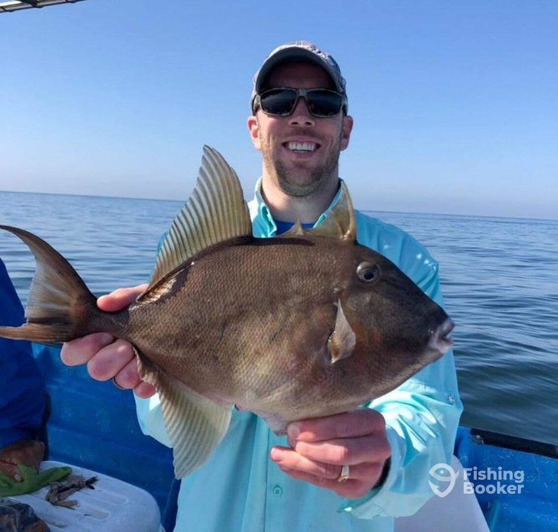 Mazatlán Report Photo 0