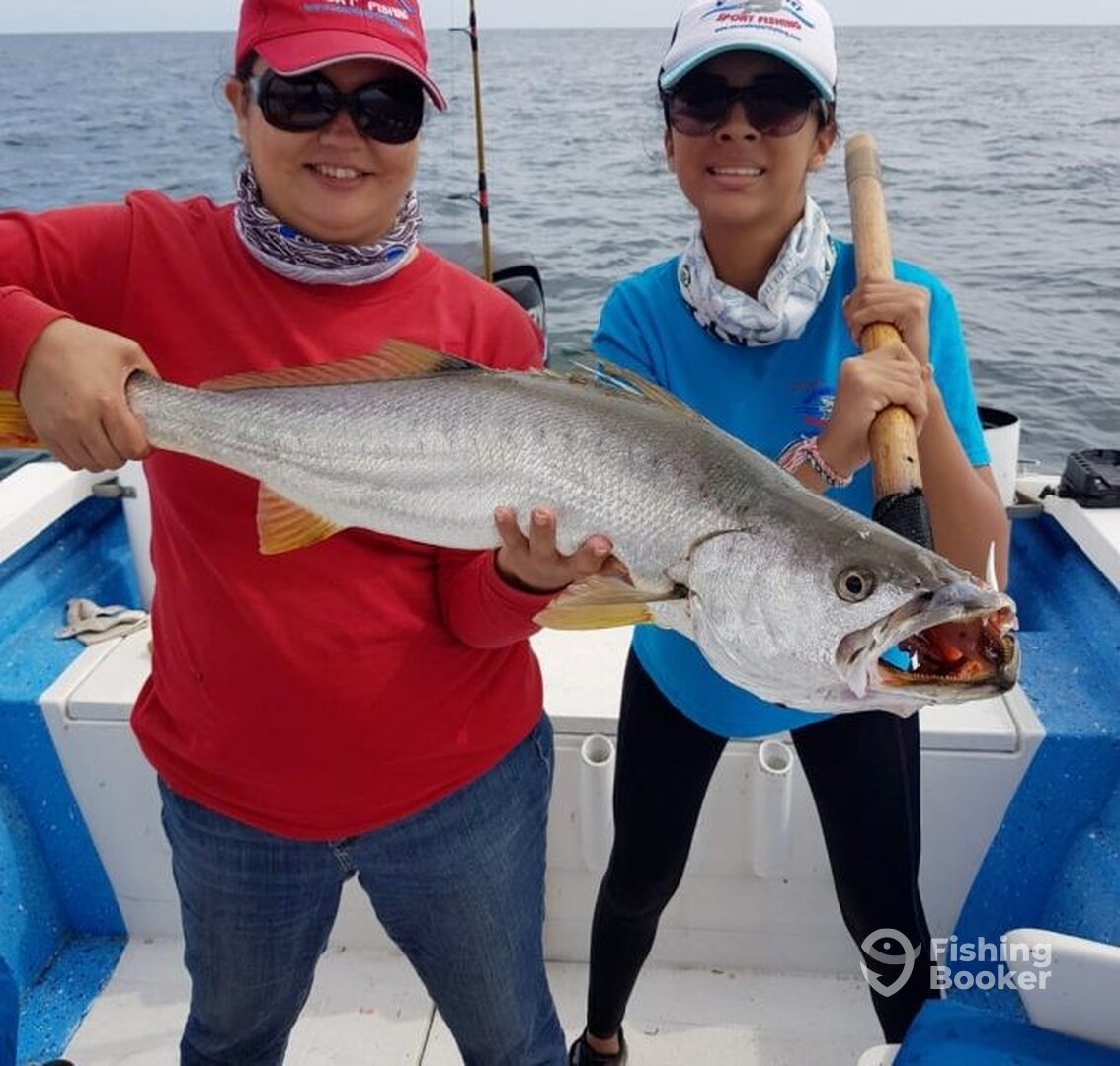 Mazatlán Report Photo 0