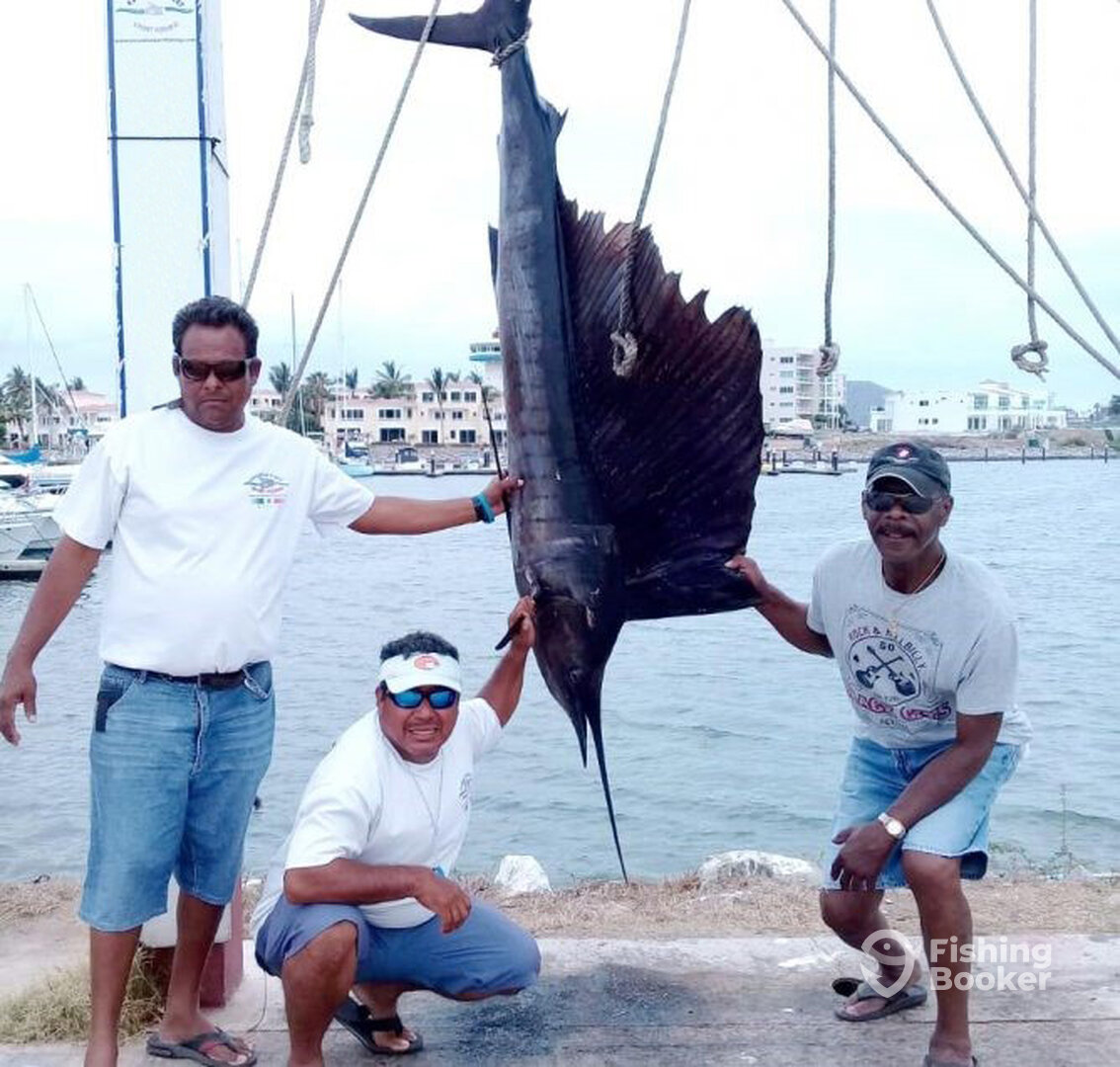 Mazatlán Report Photo 0