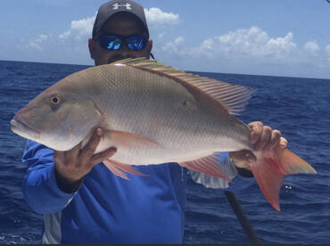 Fall Grouper fishing has been red hot. 