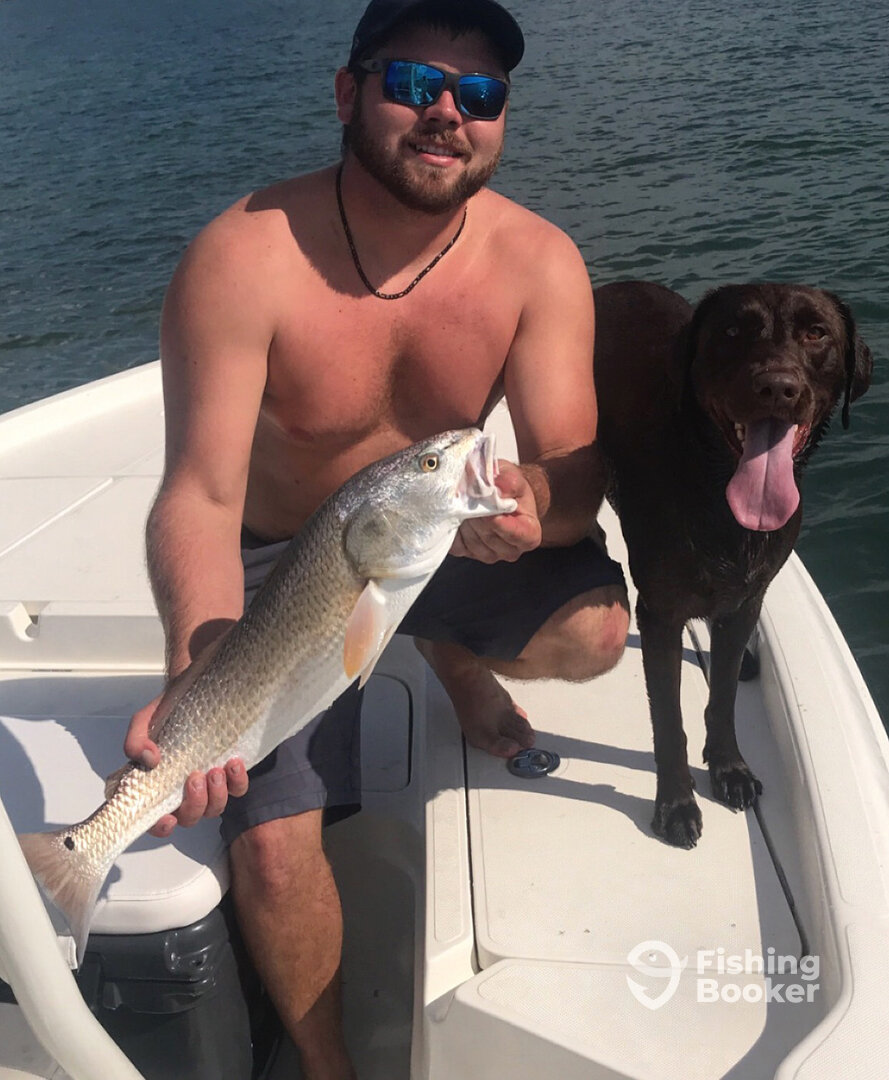 Clearwater Report Photo 0