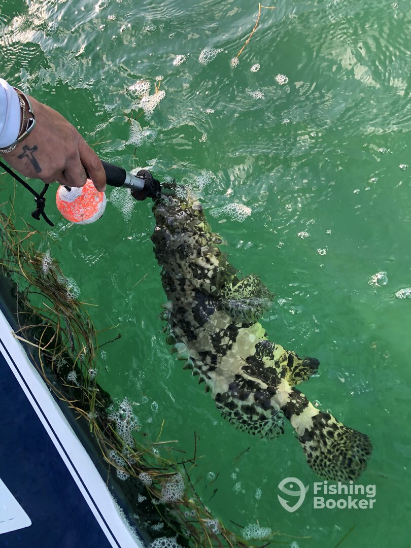 Marathon Report Photo 0