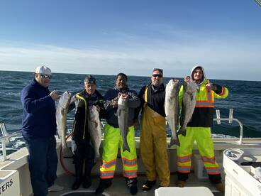 Striped Bass Beatdown!