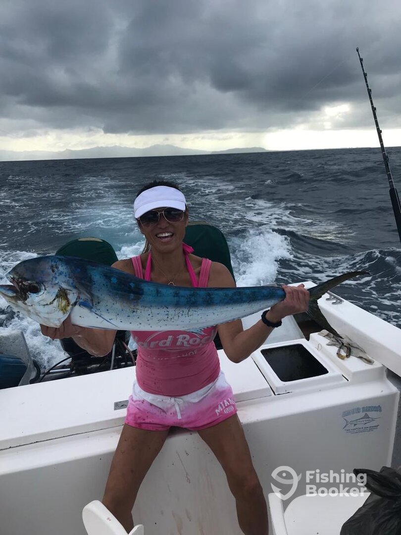 Mahi Mahi on the Super Panga October 16 