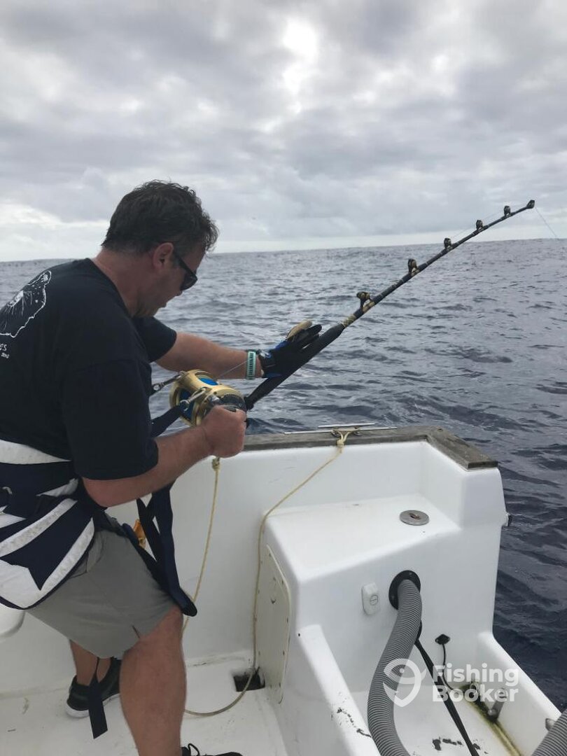 Ponta Delgada Report Photo 0