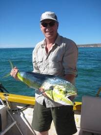 Dorado are here!