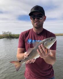 New Orleans Report Photo 1