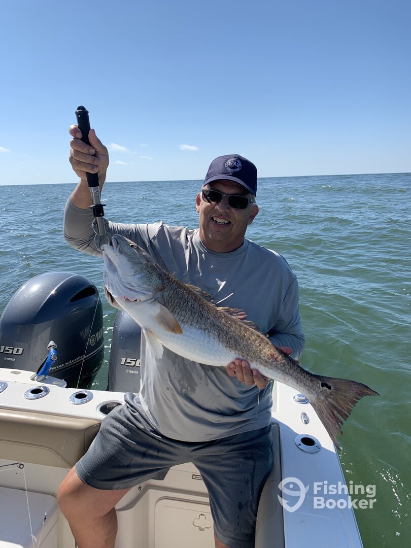 Orange Beach Report Photo 0