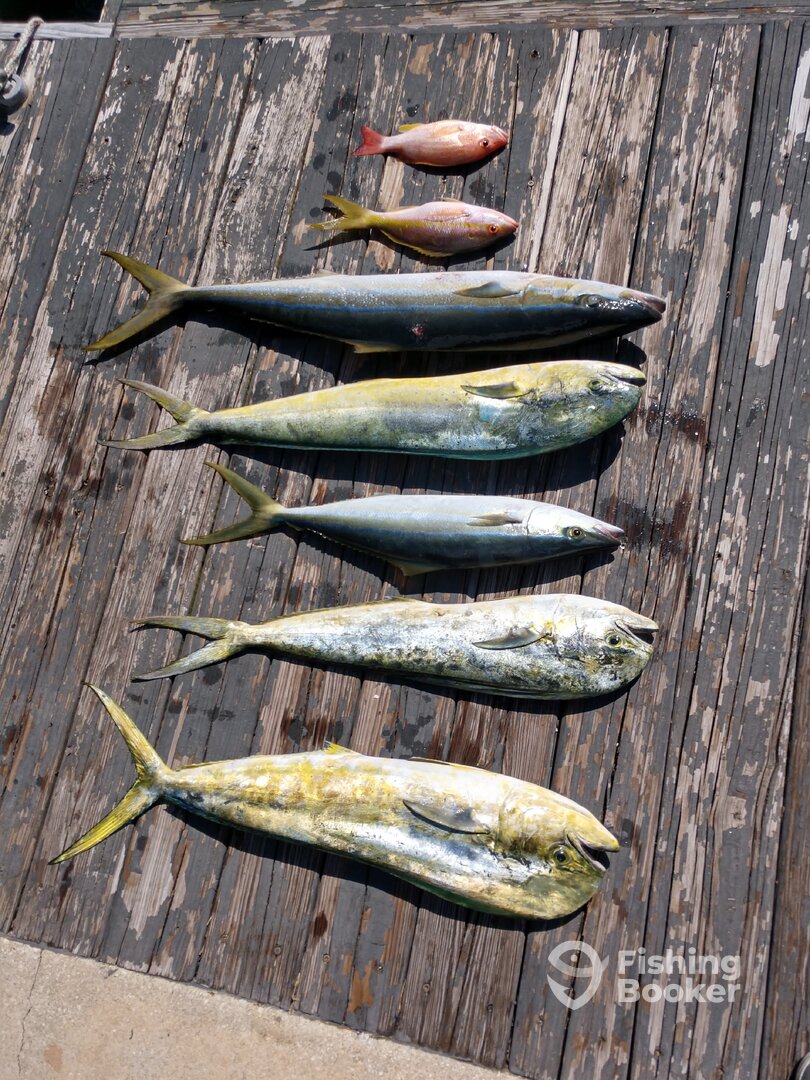 Fort Lauderdale Report Photo 0