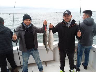 New York City Report Photo 1