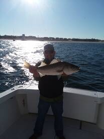 New York City Report Photo 2