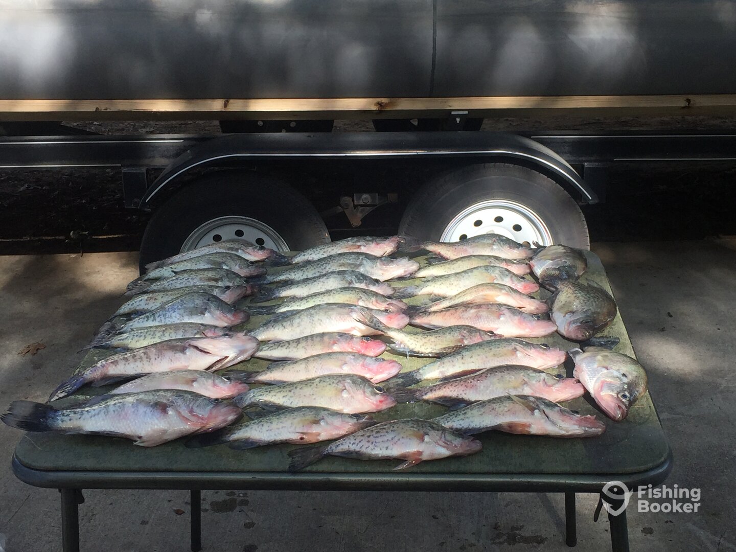 Lewisville Report Photo 0