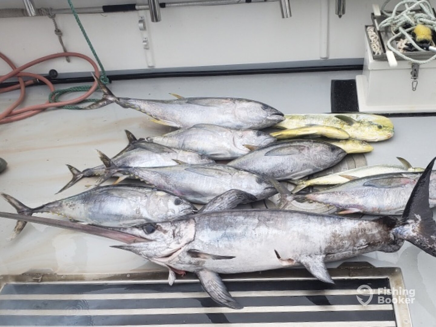 Point Pleasant Beach Report Photo 0