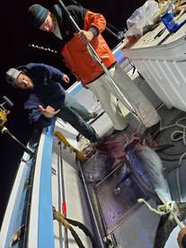 Point Pleasant Beach Report Photo 1