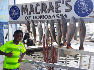 Homosassa Report Photo 2