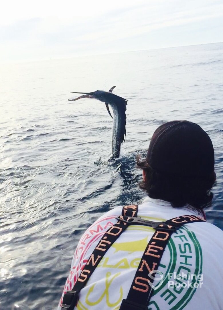 Key Largo Report Photo 0