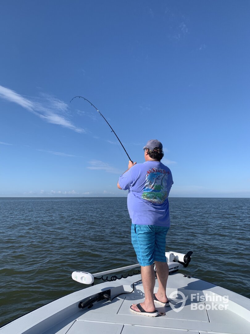 Venice Report Photo 0