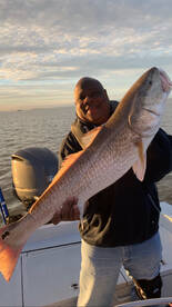 Redfish Action