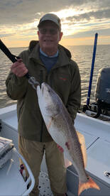 Venice Report Photo 1