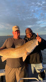 Venice Report Photo 2