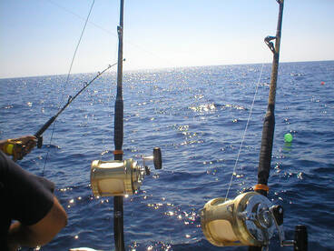 BIG GAME FISHING IN MALLORCA