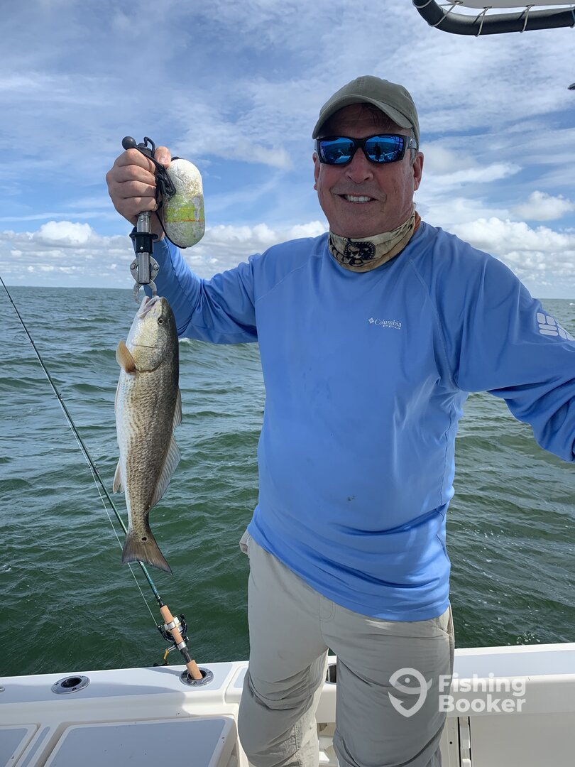 Marco Island Report Photo 0