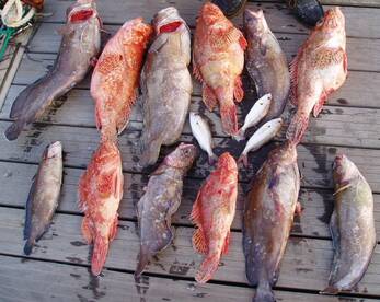 La Manga Report Photo 1