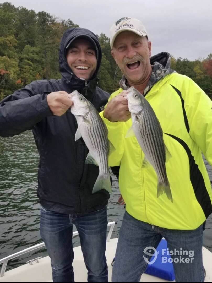 Cumming Report Photo 0