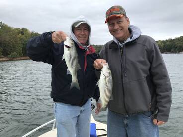 Cumming Report Photo 2