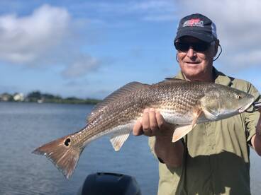 Sarasota Report Photo 2