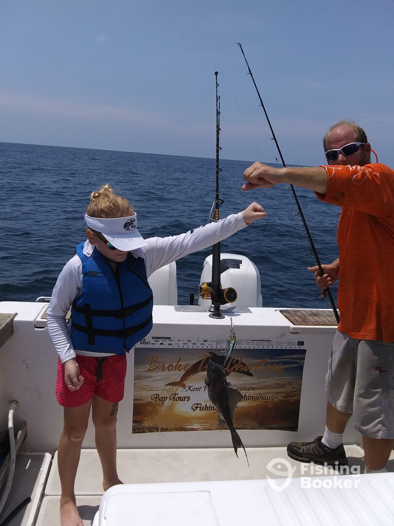 Niceville Report Photo 0