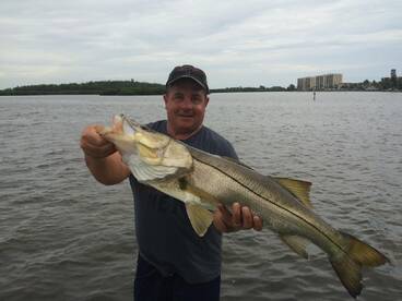 Foto Report Sarasota 2