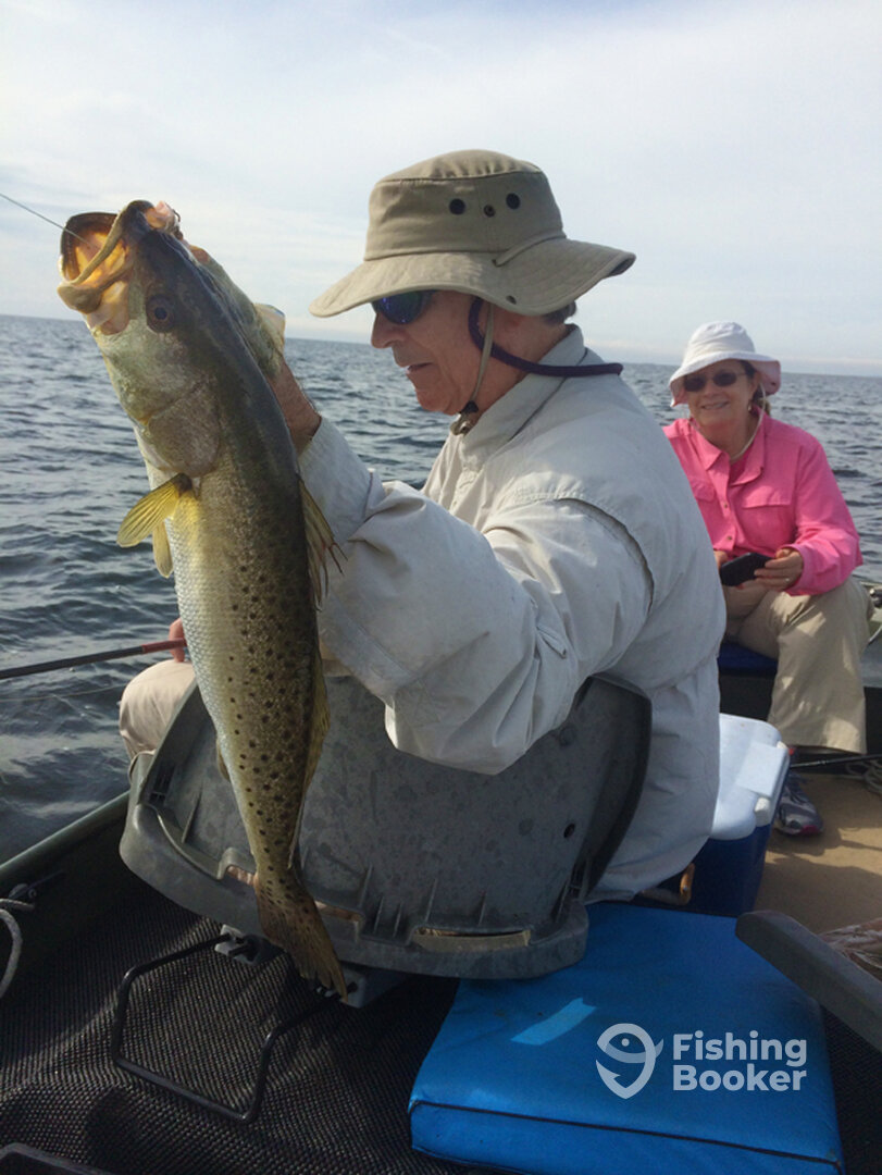 Steinhatchee Report Photo 0