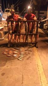 Panama City Report Photo 1