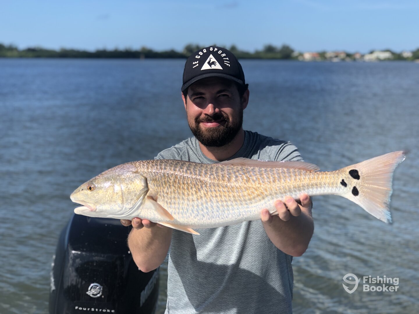 Sarasota Report Photo 0