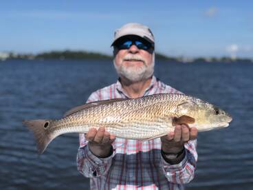 Sarasota Report Photo 2