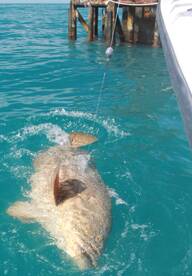 Key West Report Photo 1