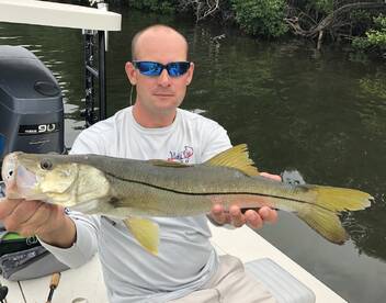 Sarasota Verslag Foto 1