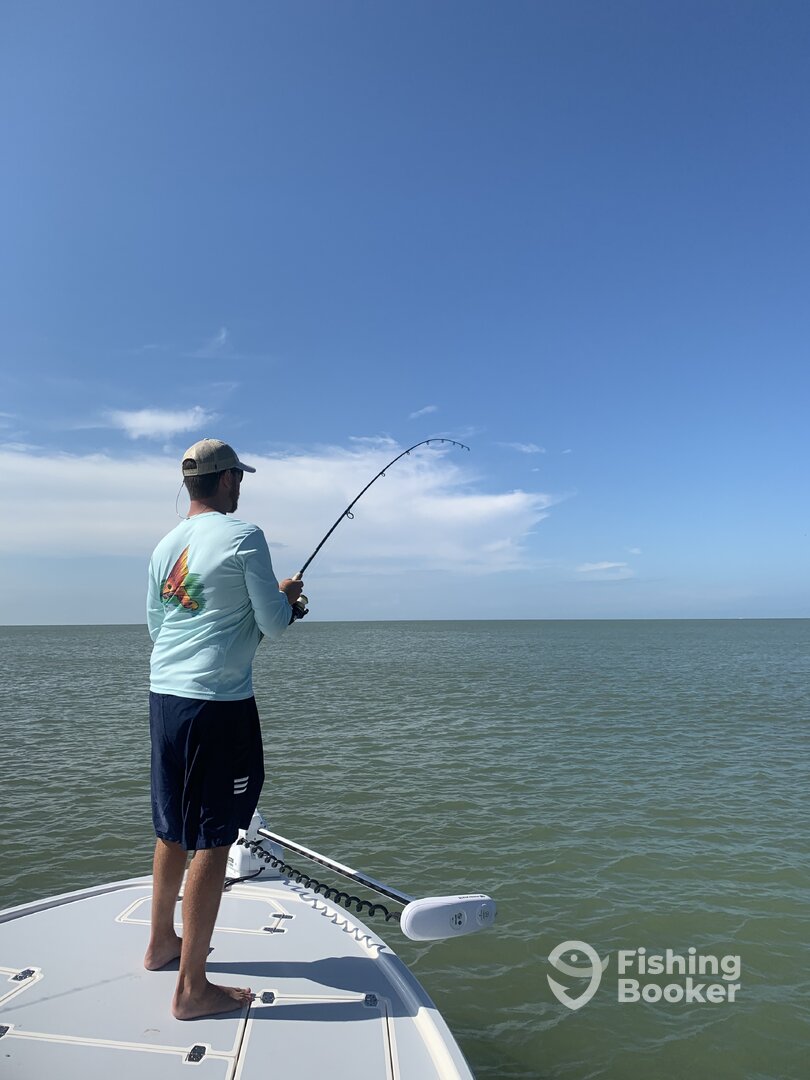 Marco Island Report Photo 0