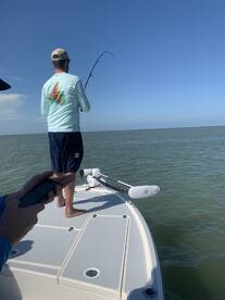 Marco Island Report Photo 1