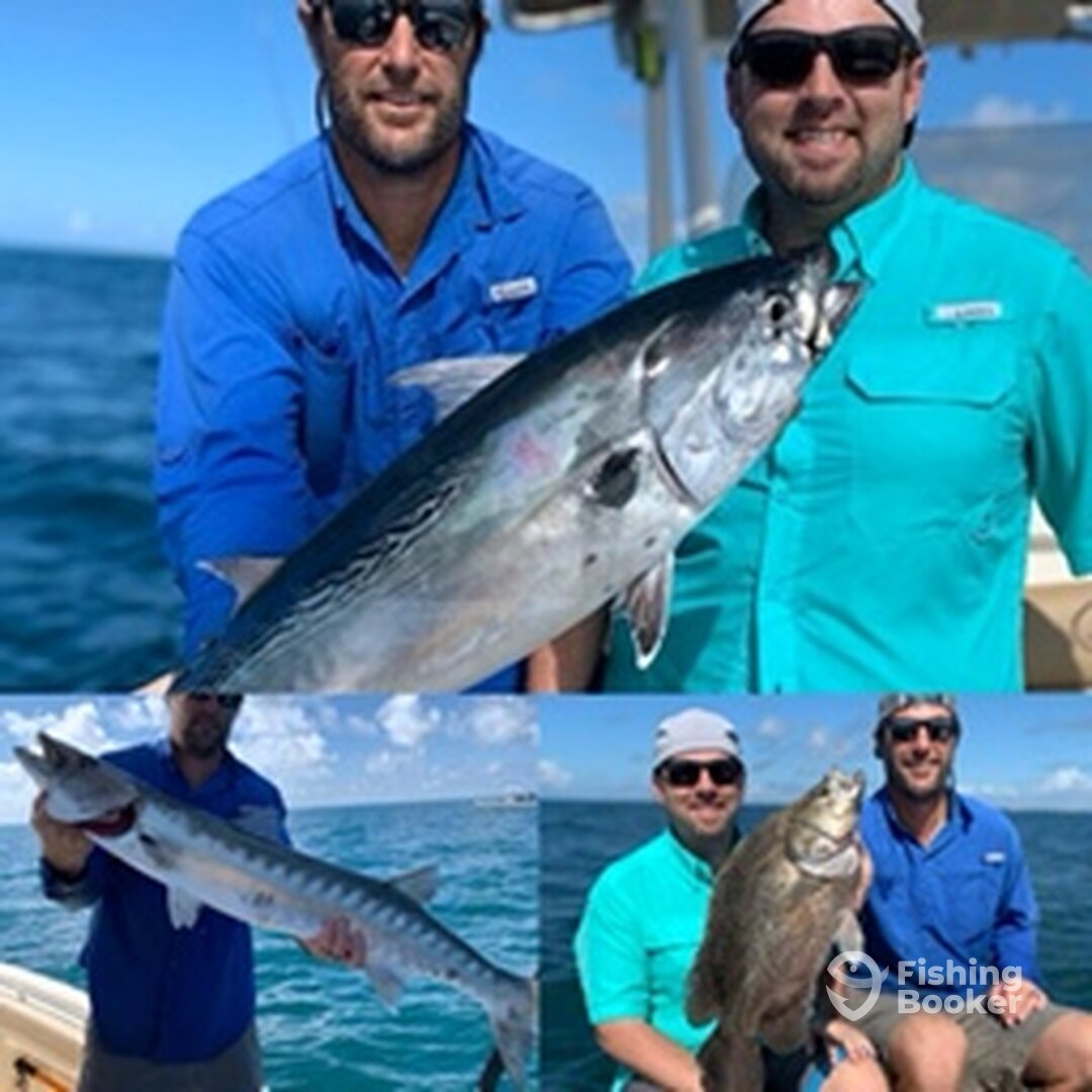 Sarasota Report Photo 0