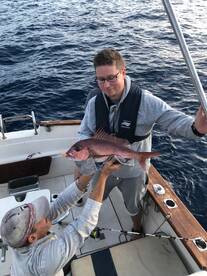 Calheta Report Photo 1