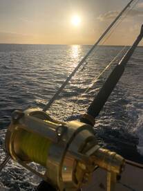 Calheta Report Photo 2