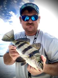 Ocean Springs Report Photo 1