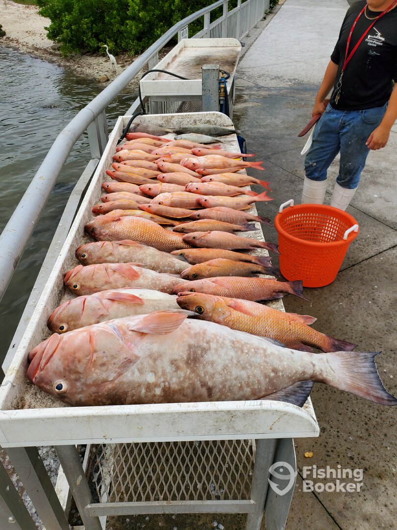 Clearwater Report Photo 0