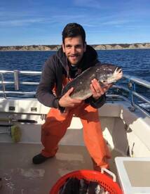 Montauk Report Photo 2