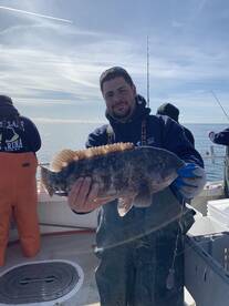 Montauk Report Photo 1