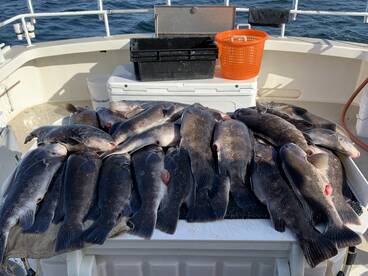 Montauk Report Photo 2